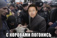  с коровами погонись