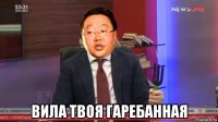  вила твоя гаребанная