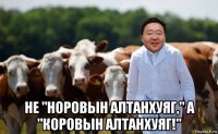  не "норовын алтанхуяг," а "коровын алтанхуяг!"