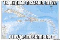 ты видимо позабыл, петух, откуда что всплыло