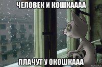 человек и кошкаааа плачут у окошкааа