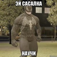 эй сасалка научи