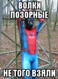 волки позорные не того взяли