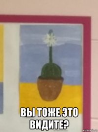  вы тоже это видите?