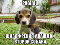 pagirių шизофрения у каждой второй собаки
