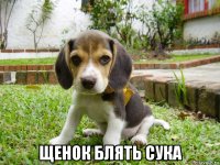  щенок блять сука