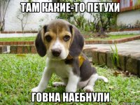 там какие-то петухи говна наебнули