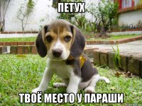 петух твоё место у параши