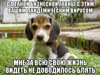 да такой бизнесной гавны с этим вашим пандемическим вирусом мне за всю свою жизнь видеть не доводилось блять