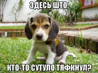 здесь што, кто-то сутуло тяфкнул?