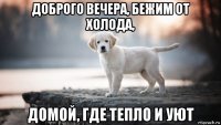 доброго вечера, бежим от холода, домой, где тепло и уют