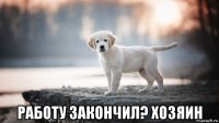  работу закончил? хозяин
