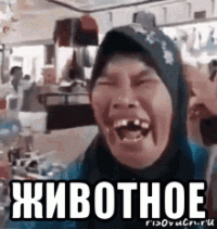  животное