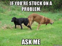 if you're stuck on a problem, ask me