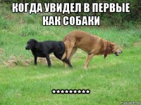 когда увидел в первые как собаки *********
