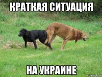 краткая ситуация на украине