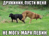 дружинин, пусти меня не могу, марк левин