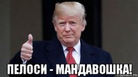  пелоси - мандавошка!