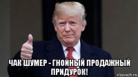  чак шумер - гнойный продажный придурок!