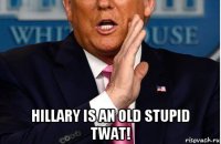  hillary is an old stupid twat!
