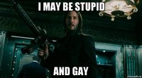 i may be stupid and gay