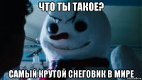 что ты такое? самый крутой снеговик в мире