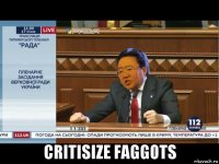  critisize faggots