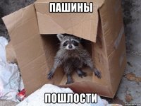 пашины пошлости