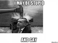 i may be stupid and gay