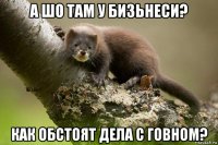 а шо там у бизьнеси? как обстоят дела с говном?