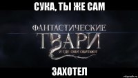 сука, ты же сам захотел