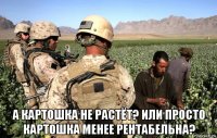  а картошка не растёт? или просто картошка менее рентабельна?