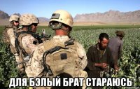  для бэлый брат стараюсь