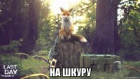  на шкуру