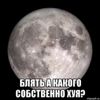  блять а какого собственно хуя?