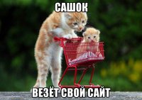 сашок везёт свой сайт