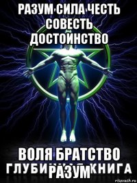 разум сила честь совесть достоинство воля братство разум