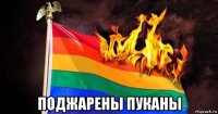  поджарены пуканы