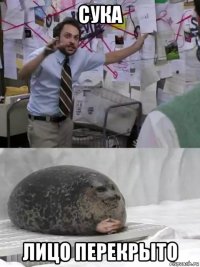 сука лицо перекрыто