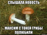слышала новость максим с тоней грибы полюбили