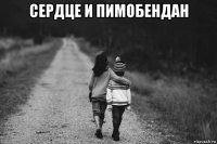 сердце и пимобендан 