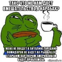 такс что же нам даст вмешательство,в карабах? жена не поедет в анталию,турецких помидорок не будет на рынках,со старшим партнером американцем будут проблемсы.