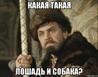 какая такая лошадь и собака?