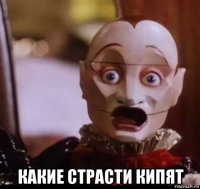  какие страсти кипят