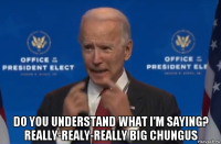  do you understand what i'm saying? really-realy-really big chungus