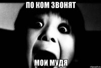 по ком звонят мои мудя