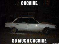 cocaine. so much cocaine.