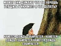 может они думают что ты хочешь утащить у них мет? а что делать? кажется дождь собирается... кажется дождь собирается кажется дождь собирается.