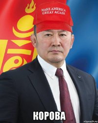  корова