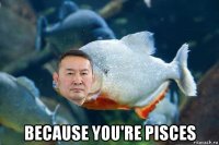 because you're pisces